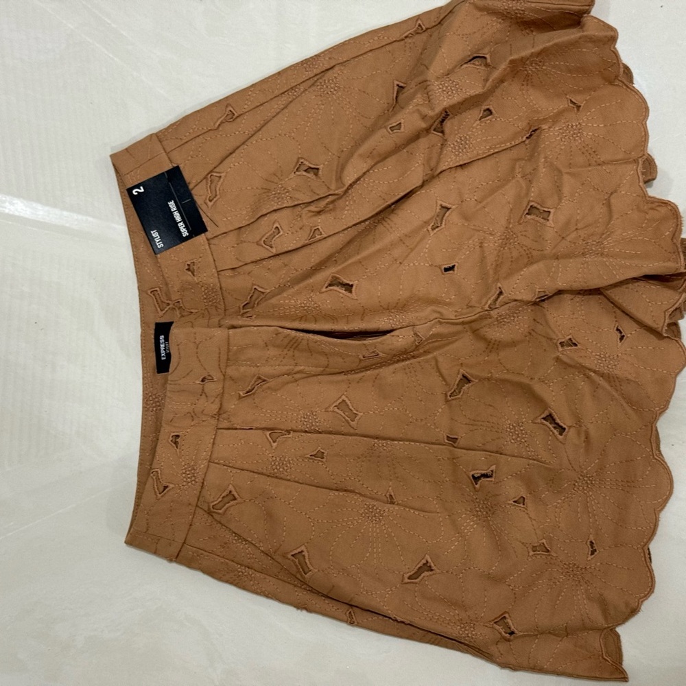 Express Brown Bubble Mini Skirt with Pleats